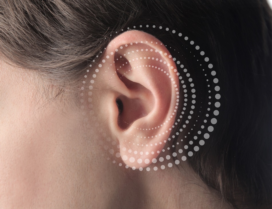 Kulak Böceği Kulağa Girer Mi