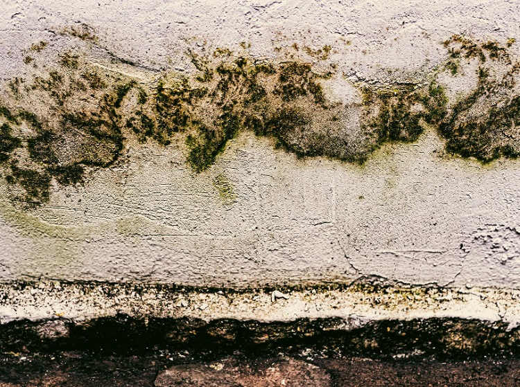 Doğalgazlı Evde Rutubet Neden Olur